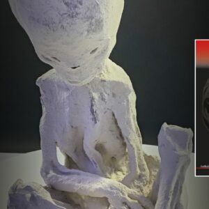 Nazca Mumien - Alvital