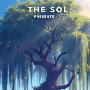SOL Waves of Creation Camp